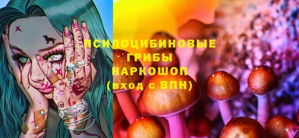 spice Михайлов