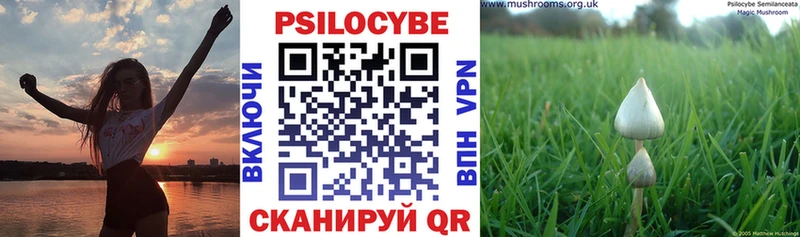 где купить наркотик Батайск Галлюциногенные грибы мицелий